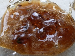 Hash Oil Honey