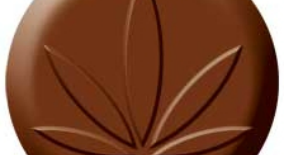 Cannabis Chocolate Recipe