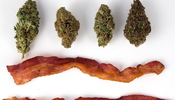 When Pigs Fly: Marijuana Bacon Recipe by Aunty Watermelon